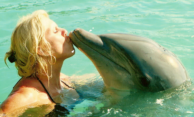 Animal Communication with a Dolphin